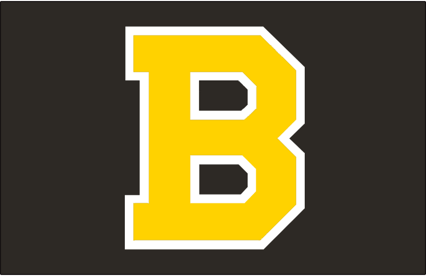 Boston Bruins 1948-1955 Jersey Logo iron on heat transfer